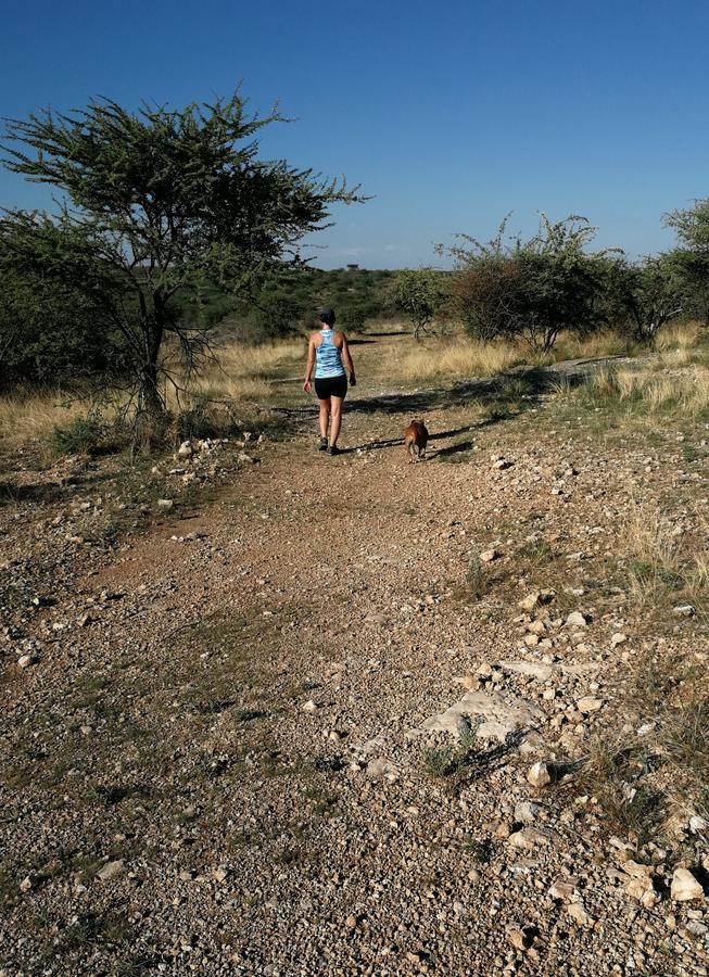 Etotongwe Lodge Outjo Esterno foto
